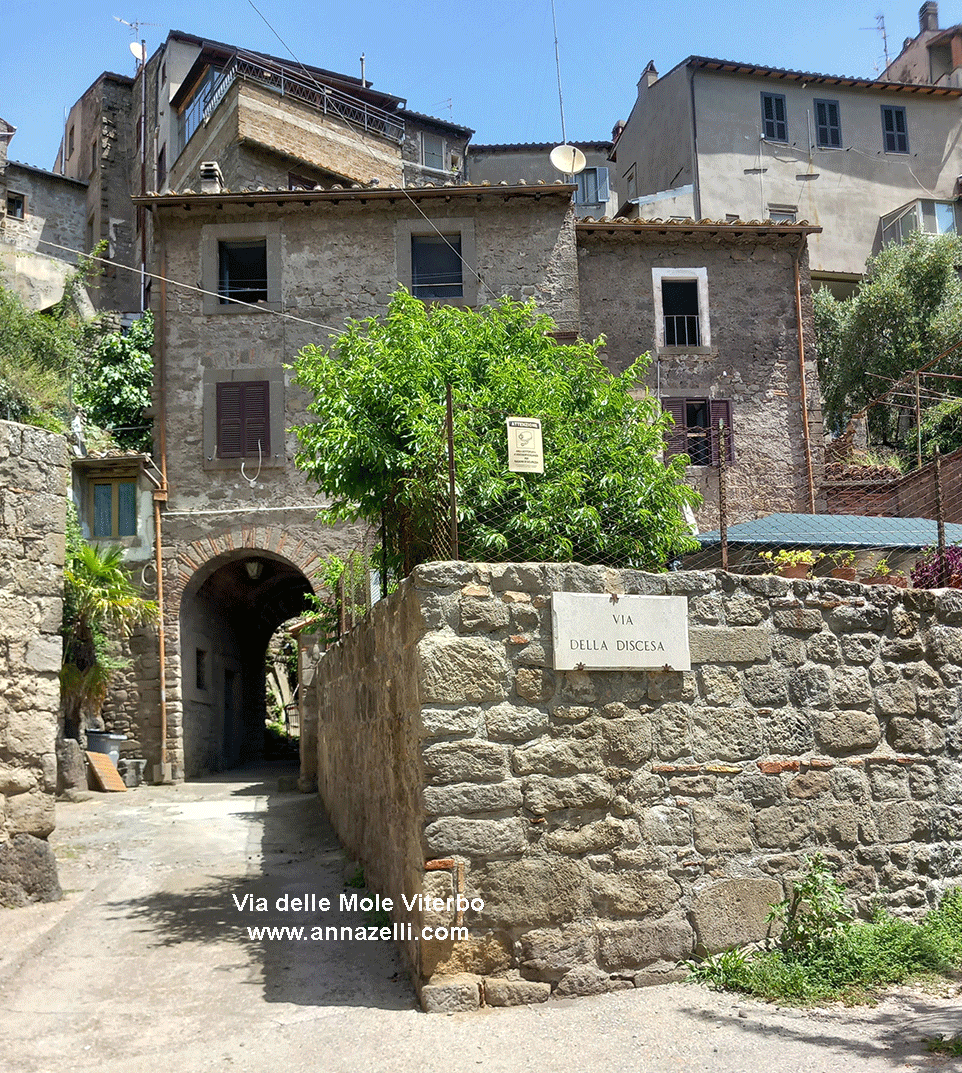 via delle mole viterbo foto info anna zelli