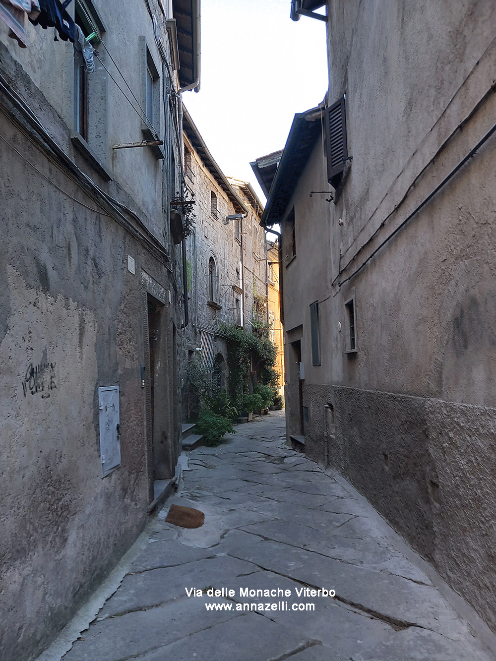 via delle monache viterbo centro info e foto anna zelli