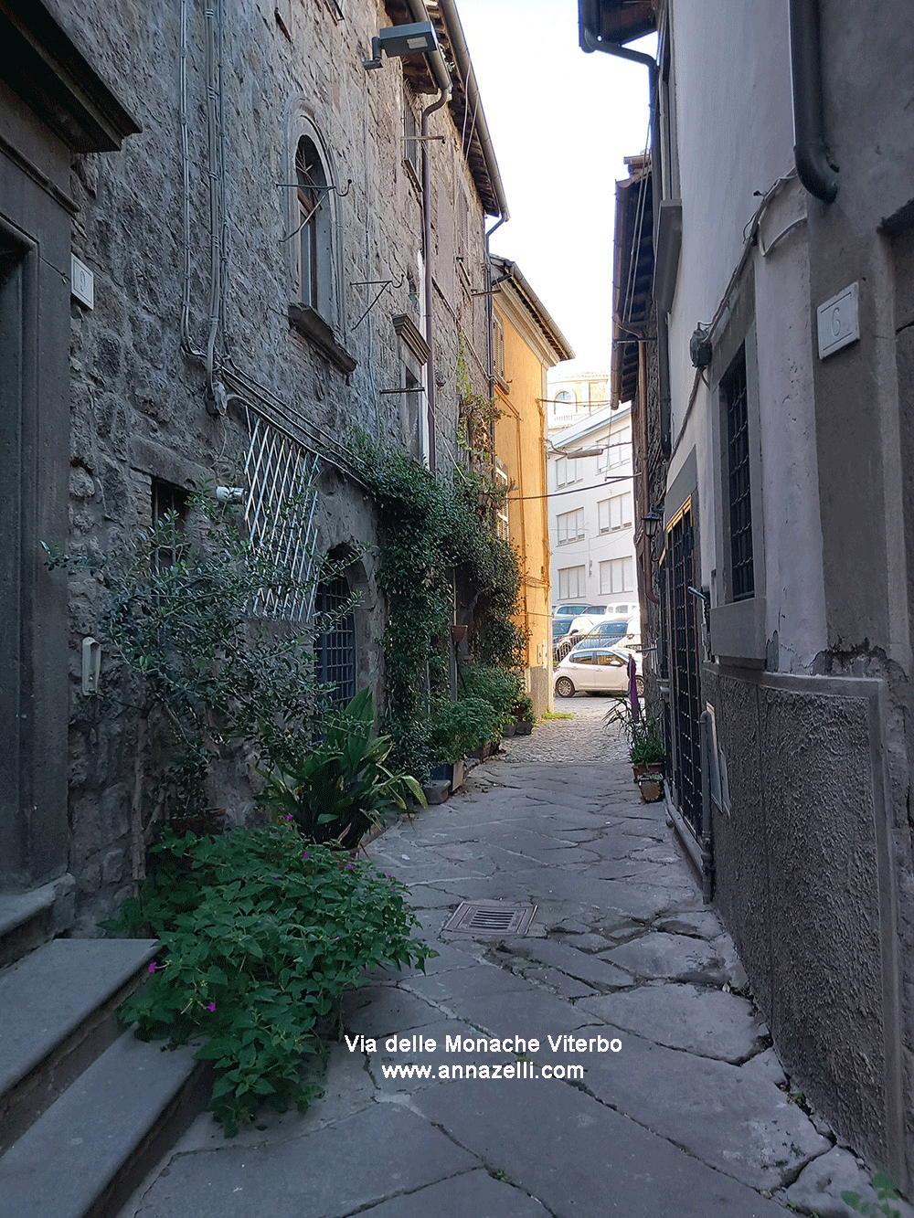 via delle monache viterbo centro info e foto anna zelli