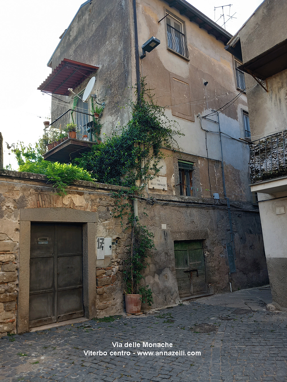 via delle monache viterbo centro storico info e foto anna zelli