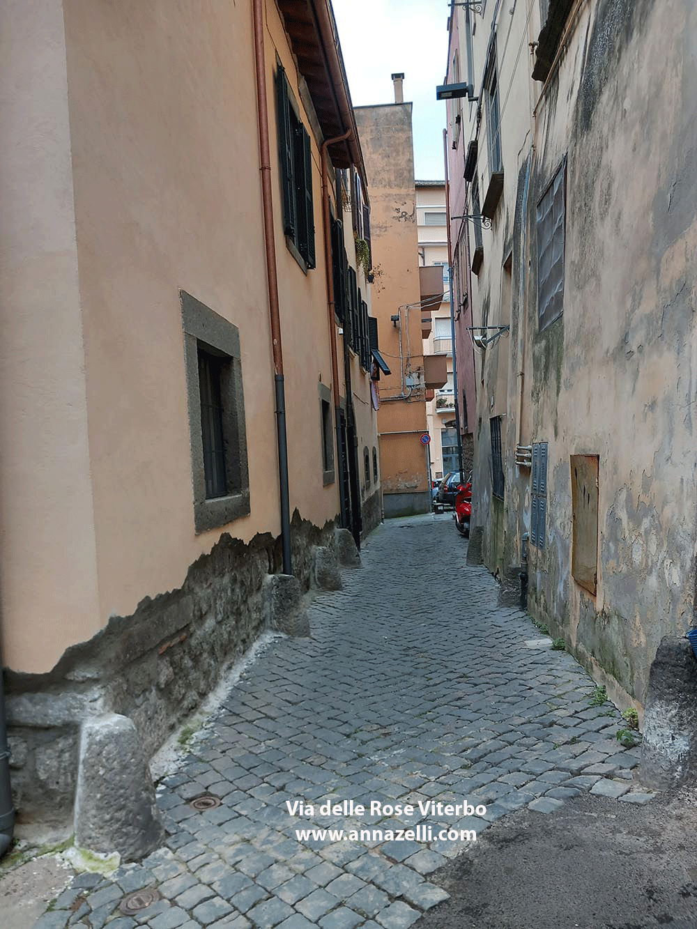 via delle rose viterbo info e foto anna zelli