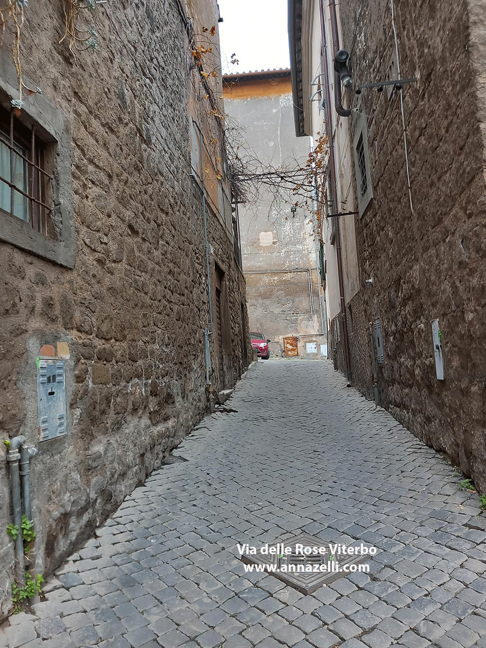 via delle rose viterbo info e foto anna zelli