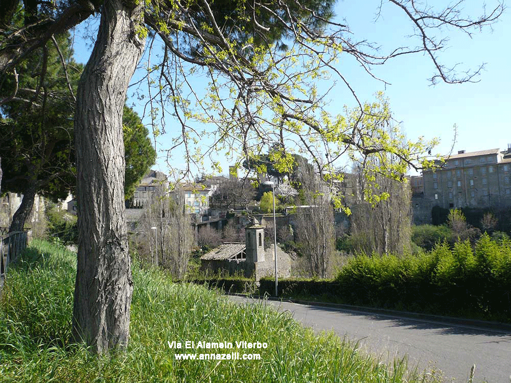 via el alamein viterbo centro storico info e foto anna zelli