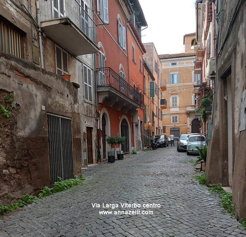 via larga viterbo centro storico info e foto anna zelli