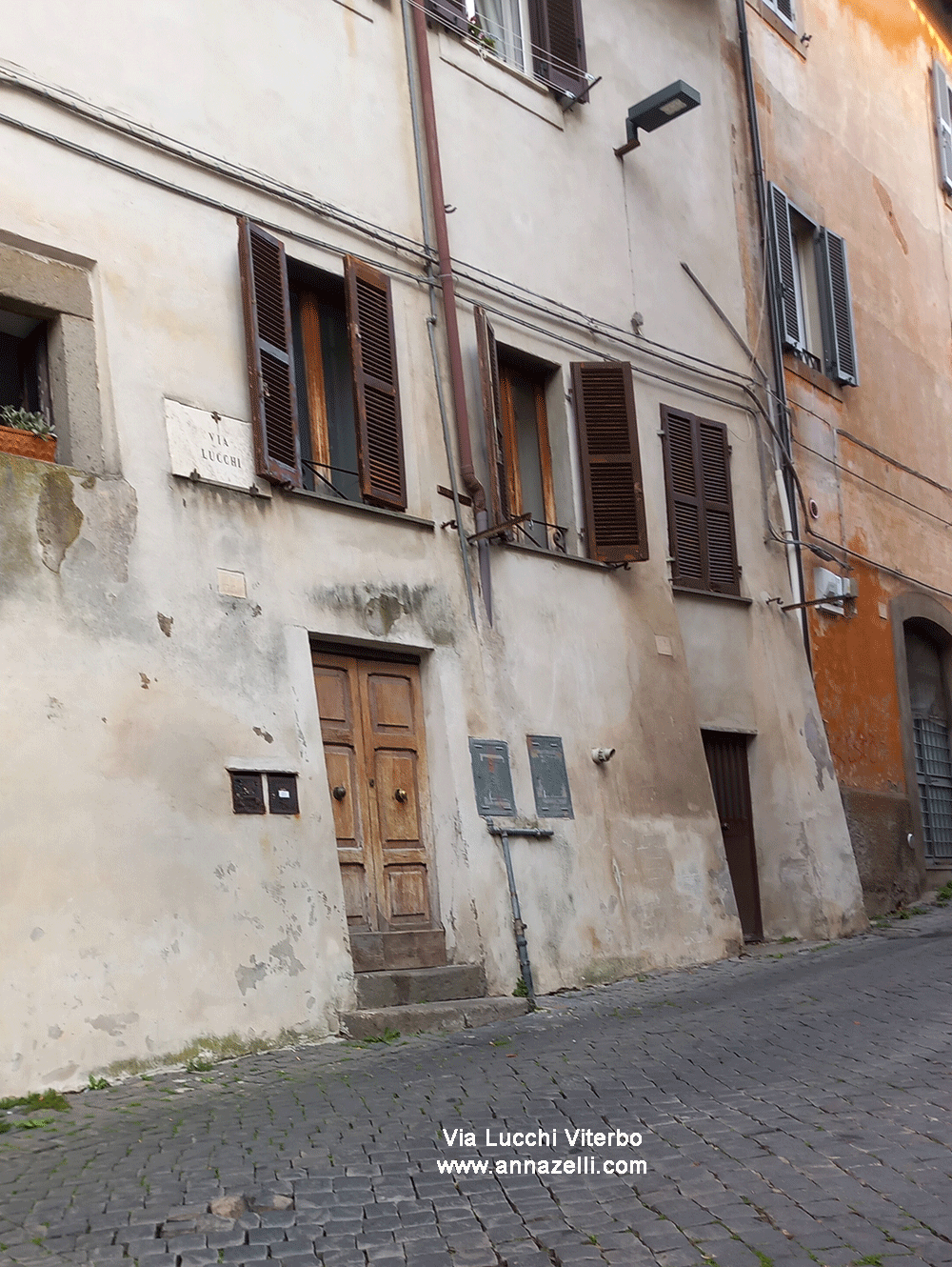 via lucchi viterbo centro storico info e foto anna zelli