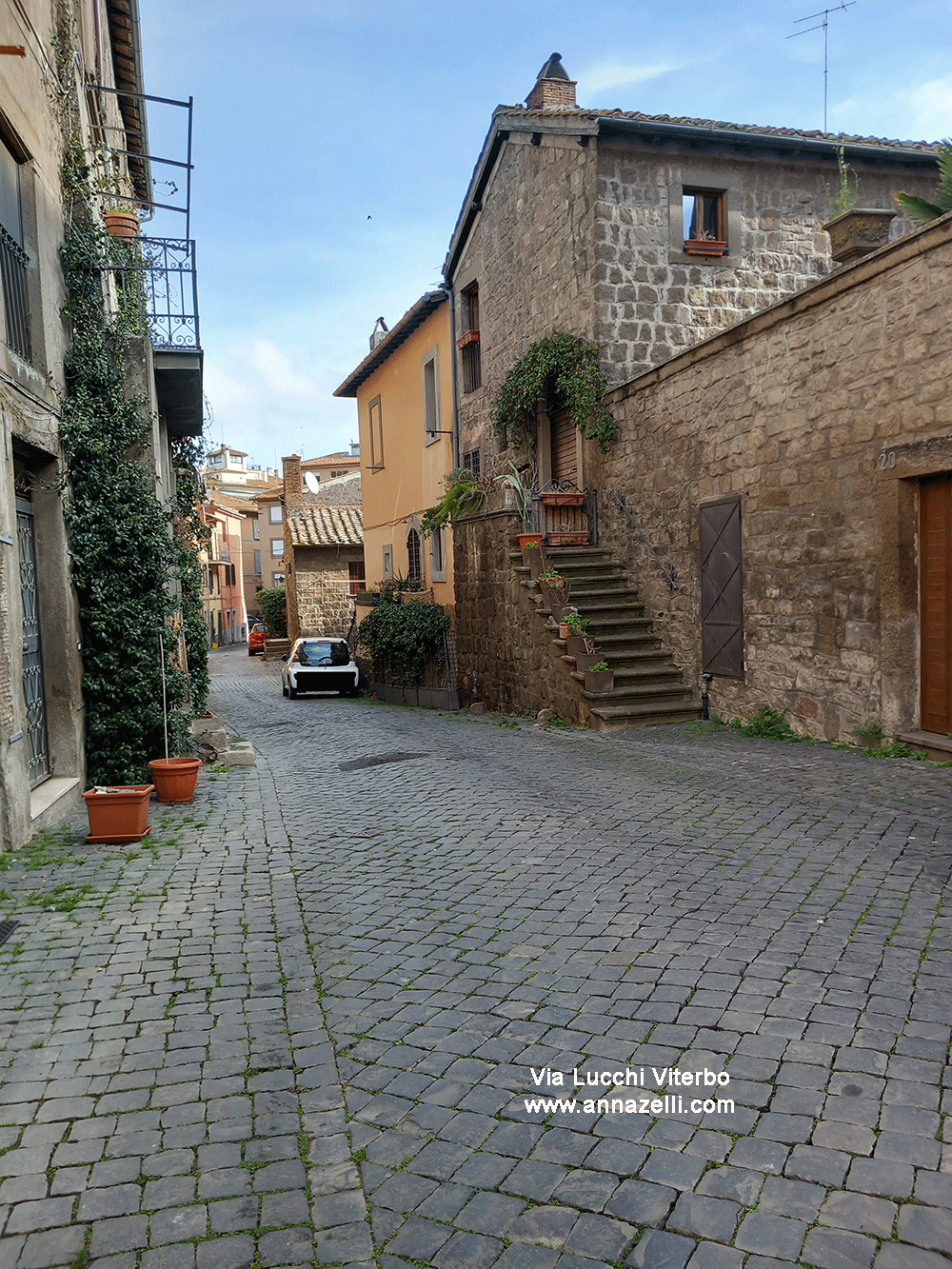 via lucchi viterbo centro storico info e foto anna zelli