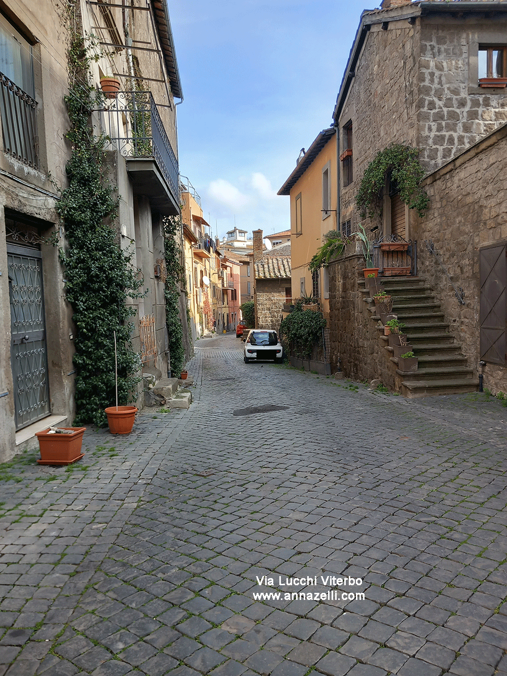 via lucchi viterbo centro storico info e foto anna zelli