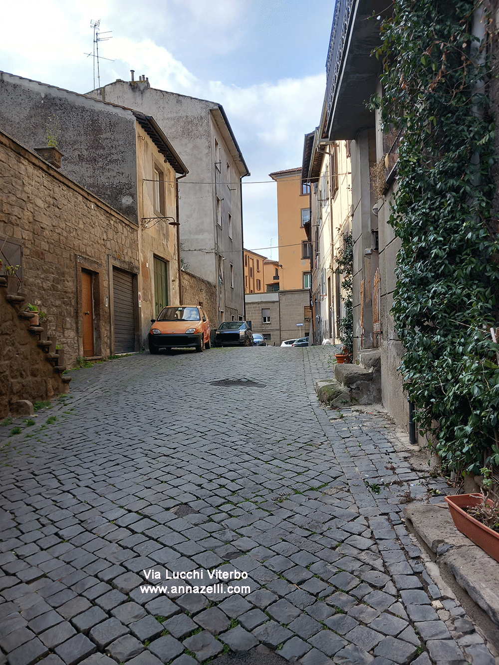 via lucchi viterbo centro storico info e foto anna zelli