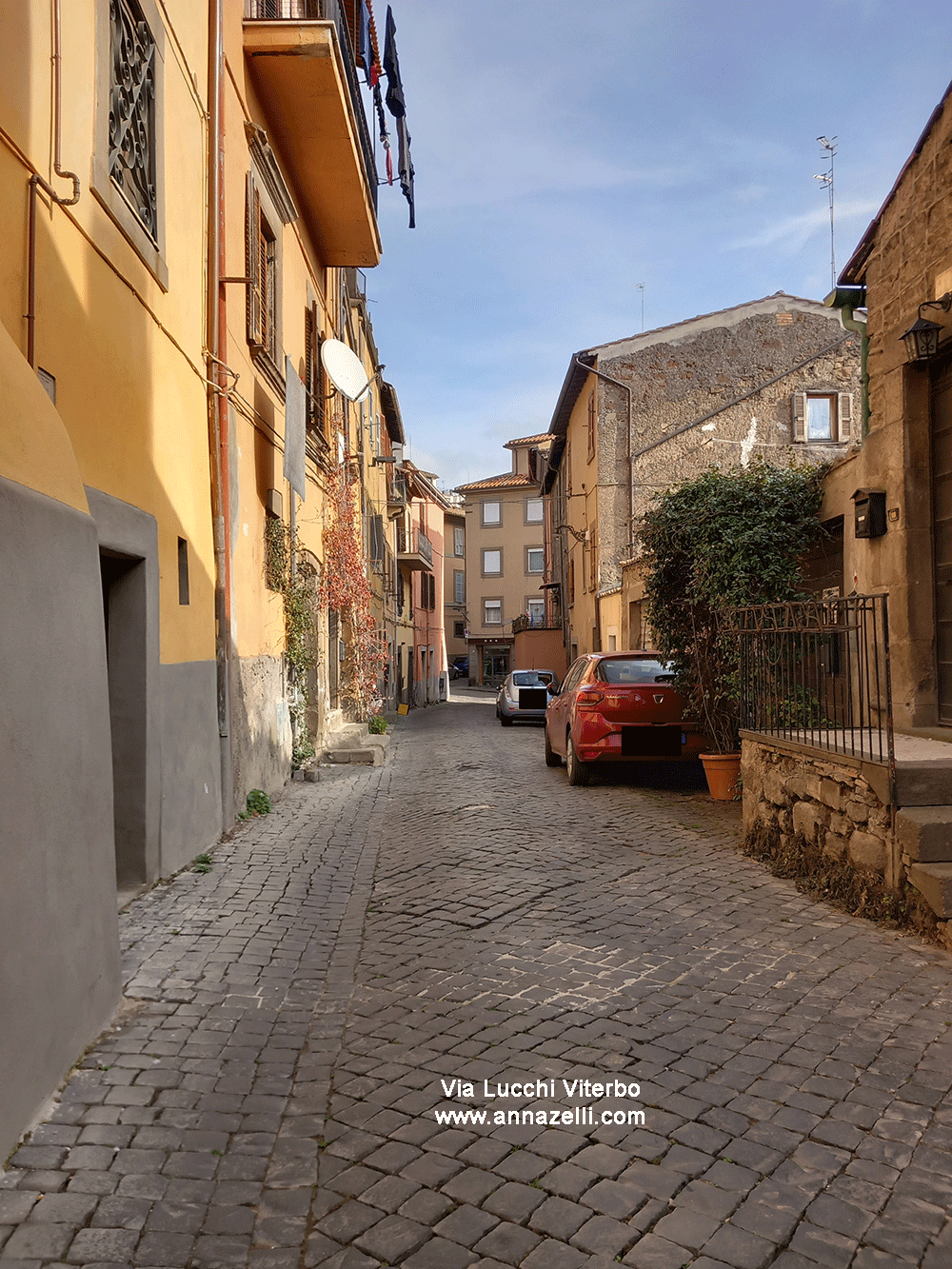 via lucchi viterbo centro storico info e foto anna zelli