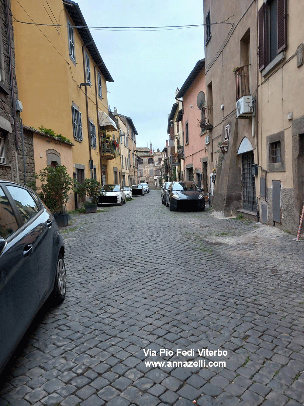 viterbo via pio fedi viterbo info e foto anna zelli