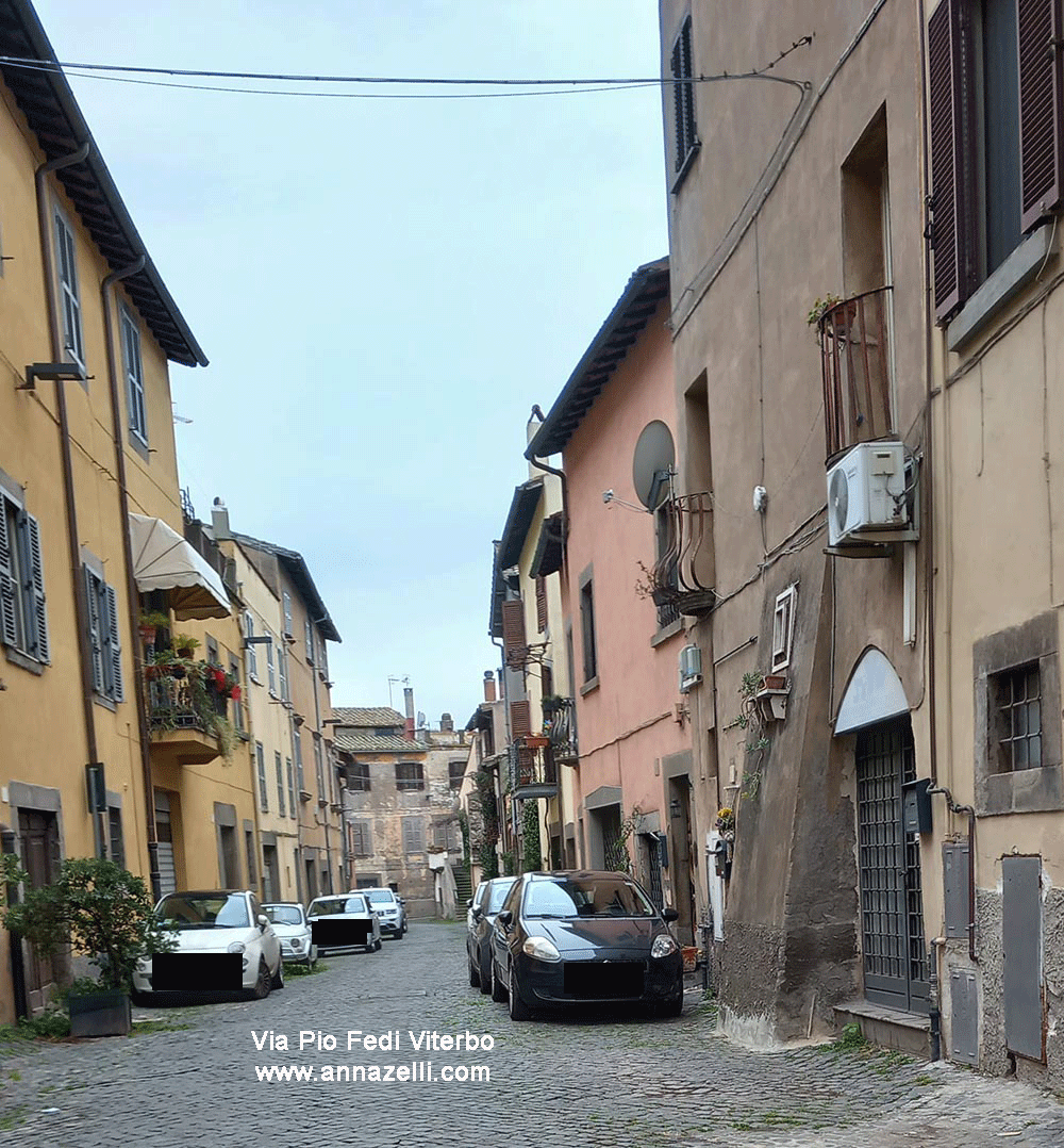 viterbo via pio fedi viterbo info e foto anna zelli