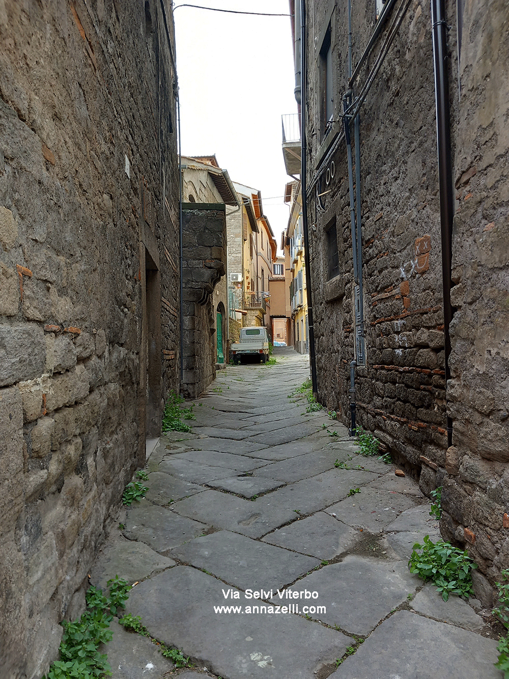 via selvi viterbo centro storico info e foto anna zelli