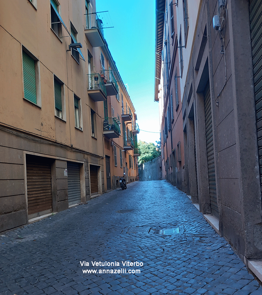 via vetulonia viterbo centro storico info e foto anna zelli